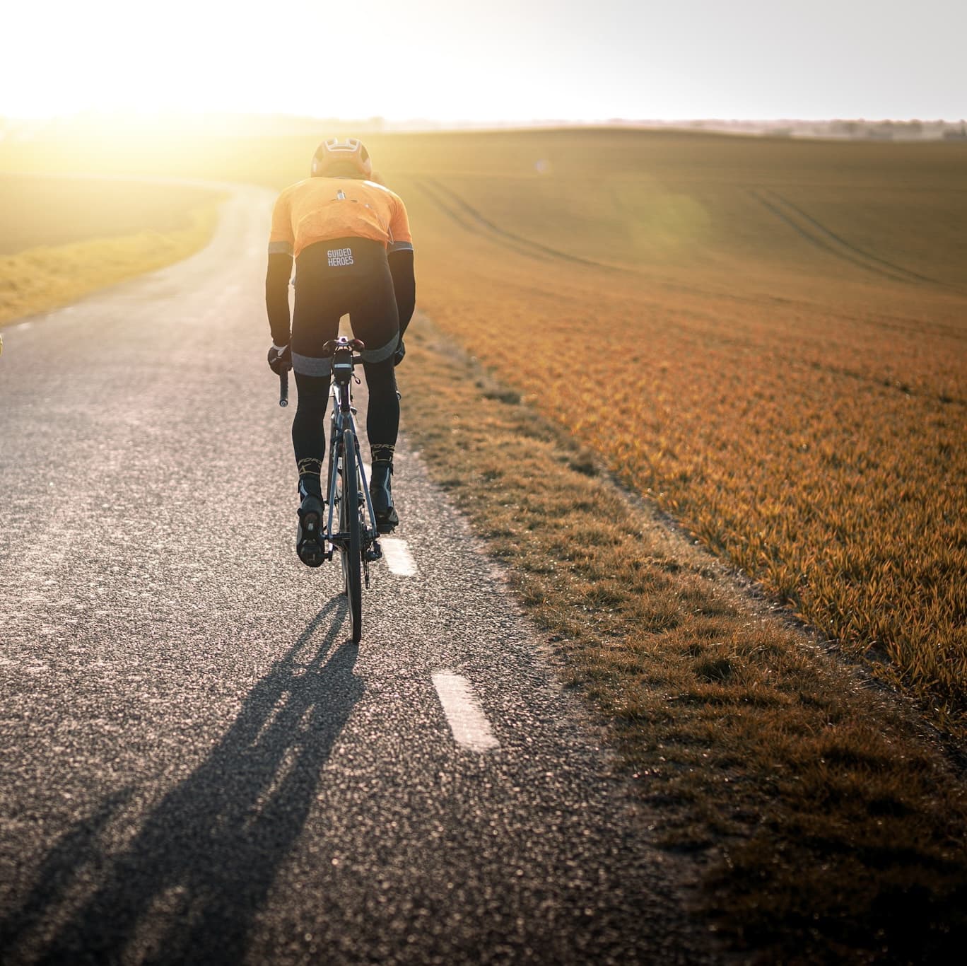 A cyclist in sunny backlight.